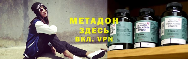 прущие грибы Армянск