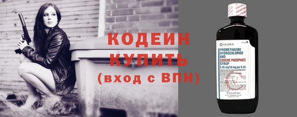 прущие грибы Армянск