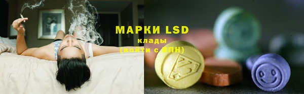 прущие грибы Армянск
