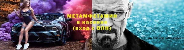 прущие грибы Нягань
