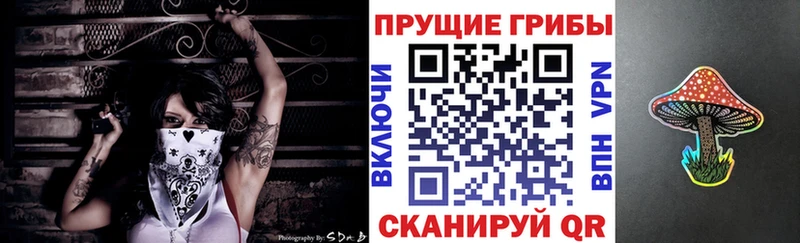 shop наркотические препараты  Белово  Галлюциногенные грибы мухоморы 